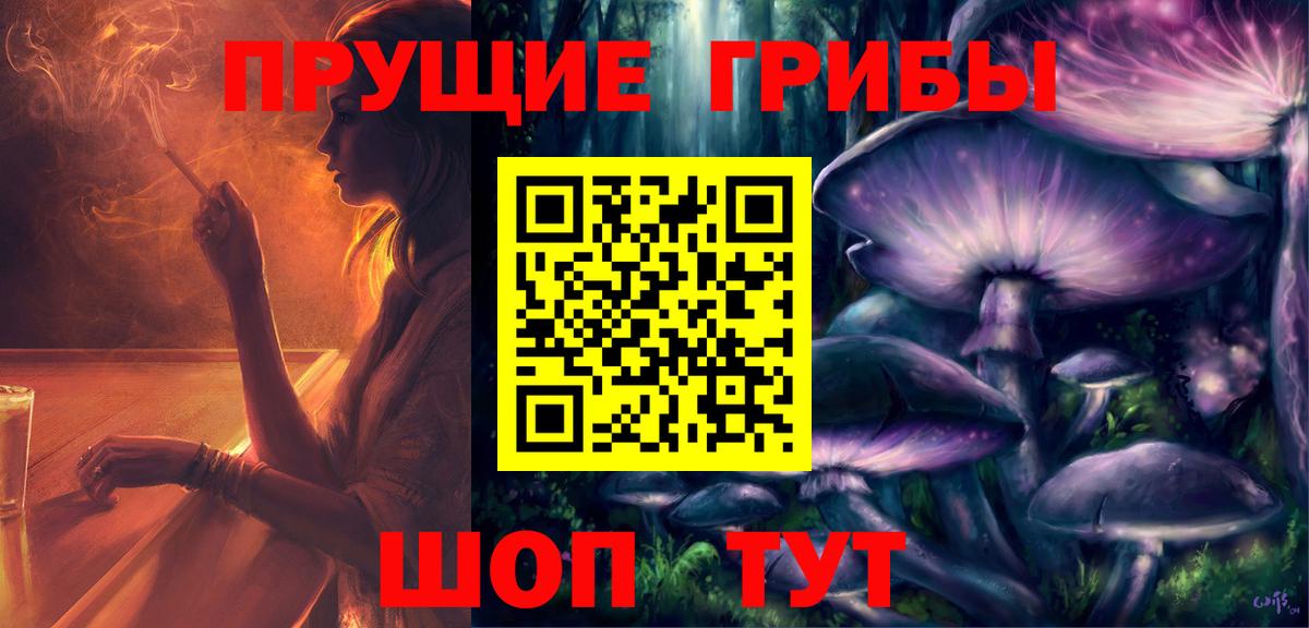 наркотики  Псилоцибиновые грибы GOLDEN TEACHER  Вход с VPN  Богданович  Галлюциногенные грибы мицелий 