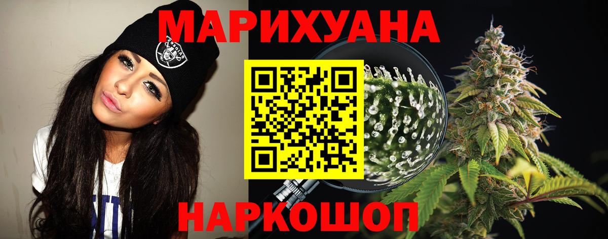 Канабис сатива Богданович